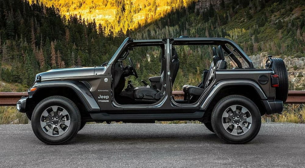 A grey 2022 Jeep Wrangler Sahara is shown from the side parked in front of a mountain view.